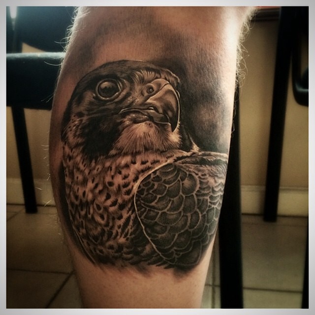 Peregrine Falcon by Bullseye Tattoo artist/owner @victormodafferi @ ...