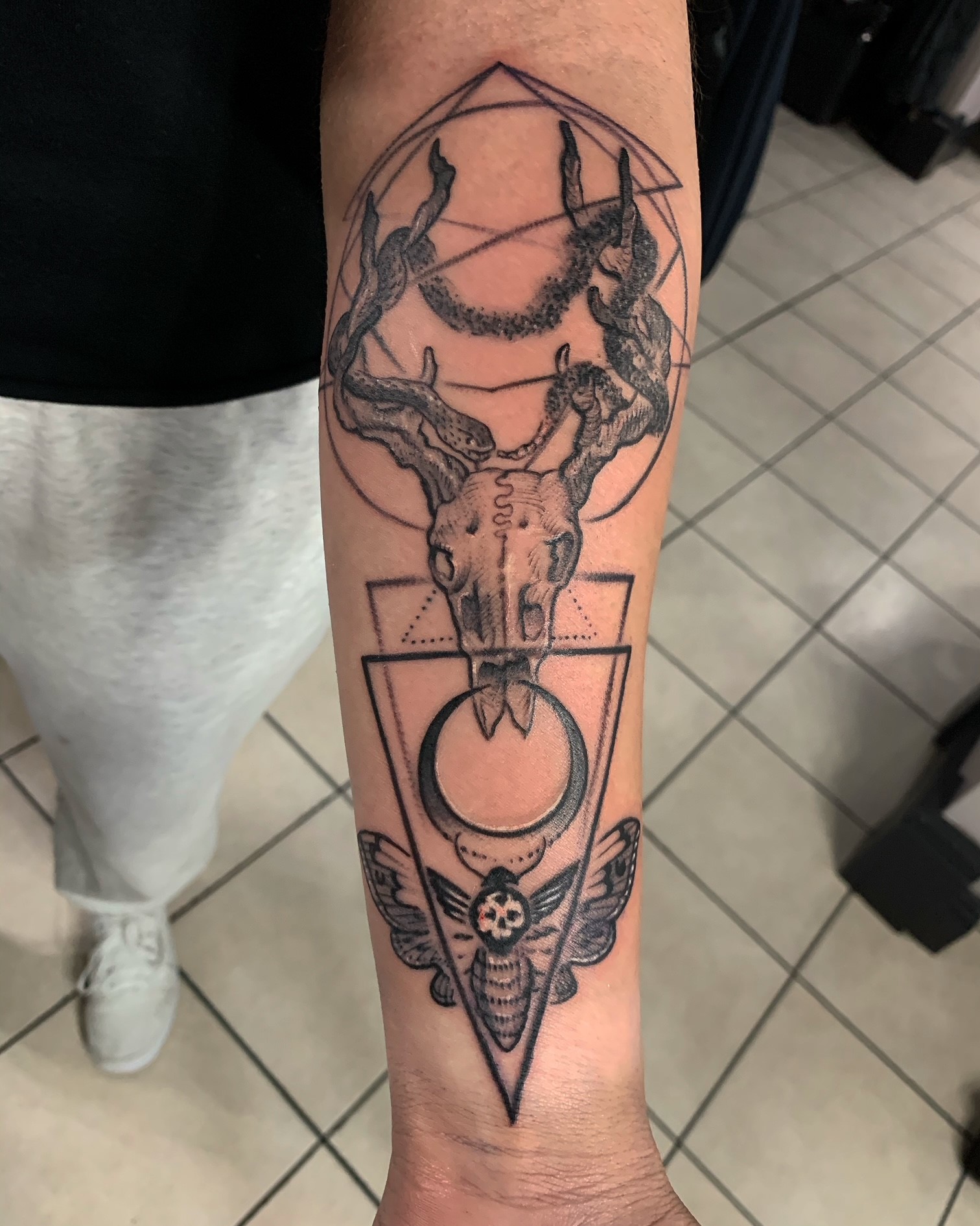Matt-animal-skull - Bullseye Tattoo Shop